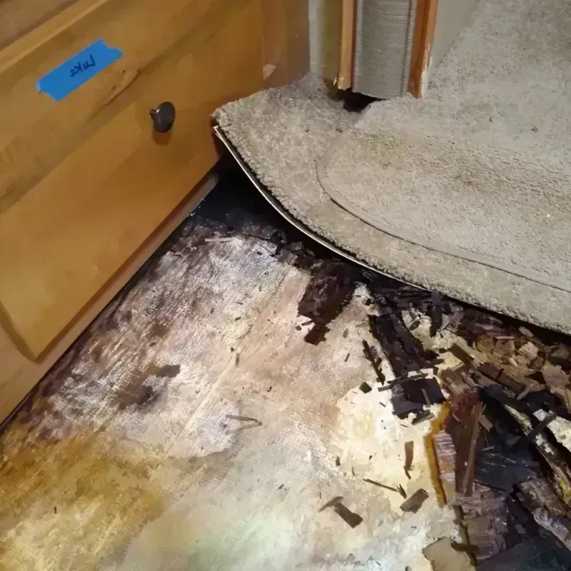 Wood Floor Water Damage in Lake County, IL